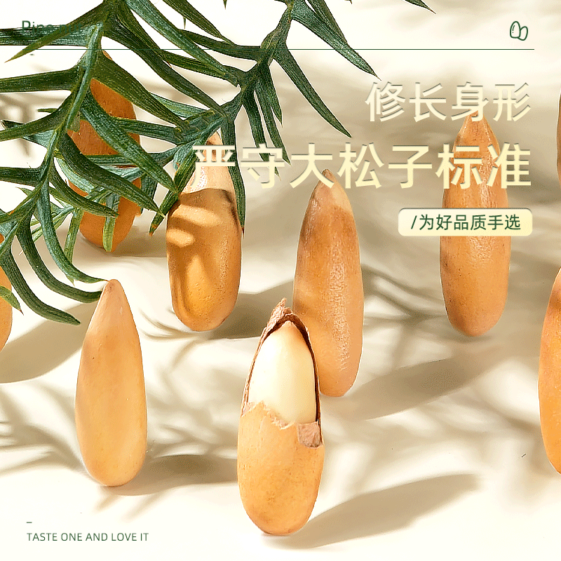 巴西500g手剥长粒新货特级孕妇松子 杭之淘松子