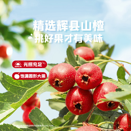 【先尝后买】英氏忆小口酸奶鲜果山楂片休闲健康零食儿童零食