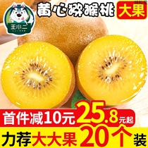 Sichuan Yellow Heart Chic Exotic Fruits Fresh Fruit When Season Chiecchio Great Fruit Macaque Peach Mud Monkey Peach