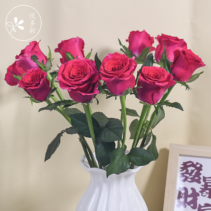 悦多彩AB级多头玫瑰花 昆明直发顺丰包邮 情人节礼物水养插鲜切花