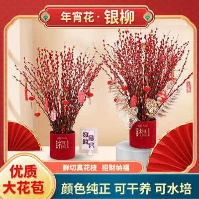 年宵银柳新年礼物装饰