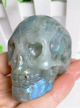 Natural Labradorite Head Skull Mineral Gems Carved Reiki