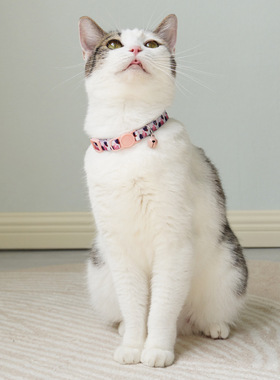 猫咪项圈猫链狗圈颈圈铃铛ins设计防窒息舒适安全扣宠物用品