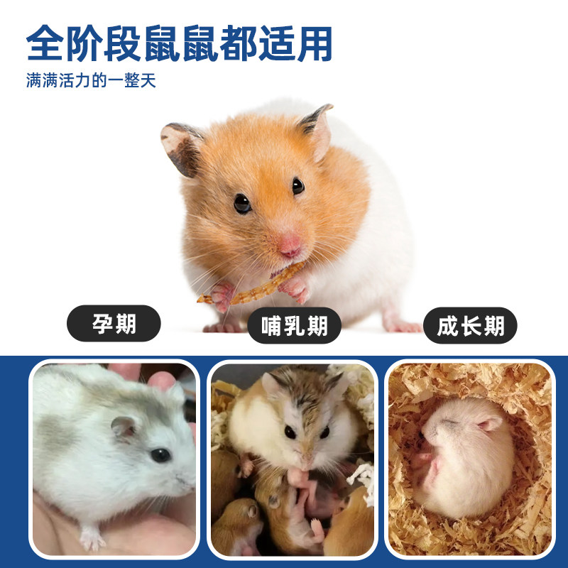 仓鼠粮食零食面包虫干黄粉虫干金丝熊孕期营养零食大礼包刺猬食物,淘宝优惠券,粉丝福利购,淘宝优惠卷