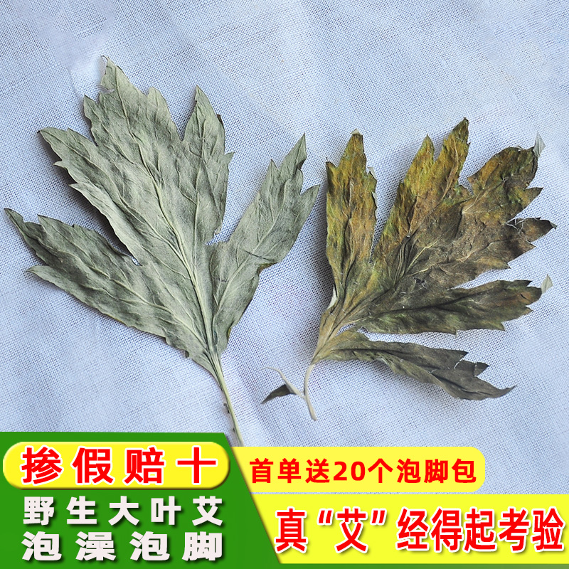 艾叶艾草泡脚包新鲜艾叶干艾草叶坐月子产后泡澡家用野生陈艾草叶 - 图1