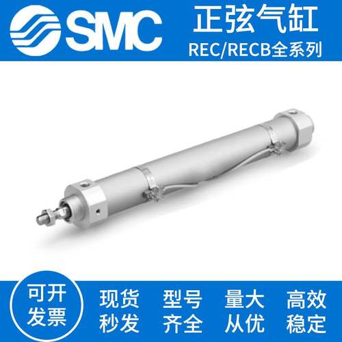 SMC正弦气缸RECL RECB20/F25/G32/T40-150-500-600-700-800-1000 - 图0