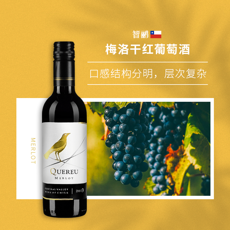 【智鹂】智利原瓶进口375ml小瓶红酒梅洛小支干红葡萄酒 6瓶 - 图1
