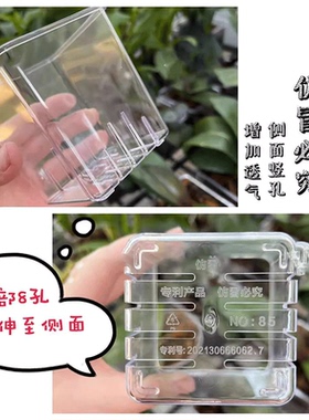 高透明塑料方形带底孔透气花盆桌面创意水培花盆蝴蝶兰洋兰花盆