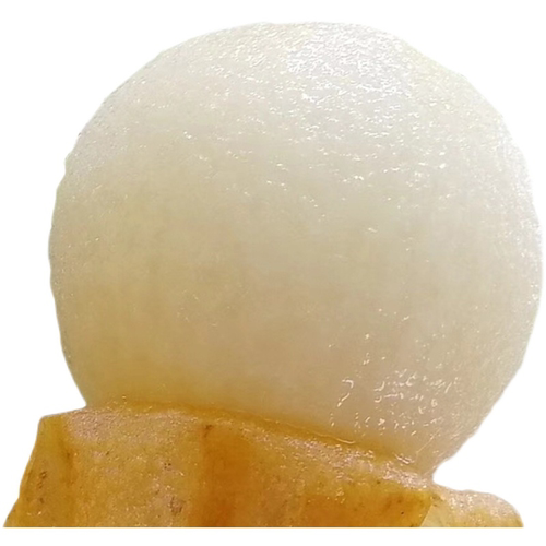 大果精品杭州塘栖枇杷白沙枇杷白玉琵琶果5斤新鲜当季水果甜塘西 - 图3