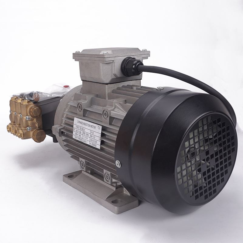 跨境电商 超高压清洗机泵不锈钢泵AR泵头三项感应电动机220V - 图2
