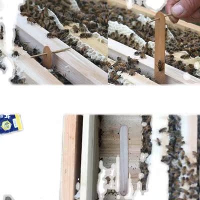 巢虫清木片中蜂专用养蜜蜂蜂具养蜂工具蜂箱全套棉虫巢虫巢清片