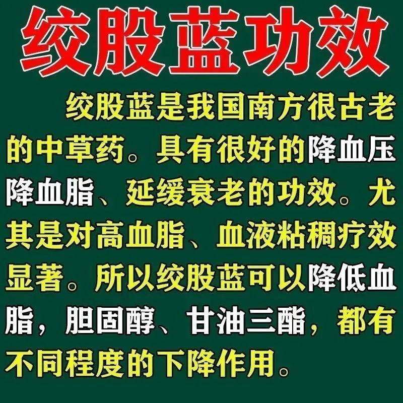 降甘油三酯降血脂活血化瘀绞股蓝总甙片血管瘀堵血脂稠心悸气短 - 图2