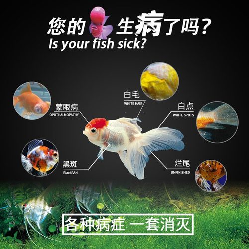 日本进口黄粉鱼药烂身烂尾白点净水霉蒙眼水族杀菌专用治药正品-图1