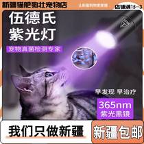 Special Note Woods Lantern Cat Moss Light Pet Purple Light Torch Ultraviolet mycotic detection in Xinjiang