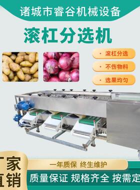 商用西红柿五级分选机 全自动变距滚杠分选机 连续式橙子分选机
