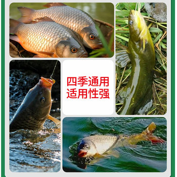 Sheep oil granule bait yellow spicy diced special bait outdoor fishing Angong Angang thorn yellow catfish bait lure fishing Taihong