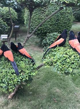 迷你版仿真红毛鸡羽毛鸡饰品装饰工艺品景观造景橱窗美陈教学