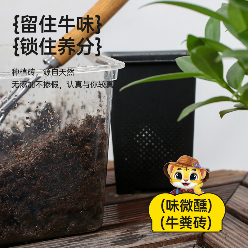 发酵牛粪肥椰砖花肥盆栽肥料通用肥营养土椰糠菜苗耶砖有机肥料 - 图2