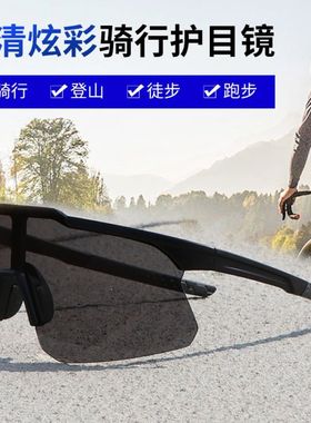 登山骑行眼镜户外运动防风沙大框护目镜防紫外线防晒一片式墨镜潮