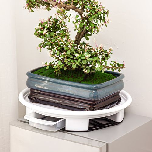 德国加厚可移动花盆托盘万向轮带接水盘底座大号塑料盆栽花盘垫底 - 图2