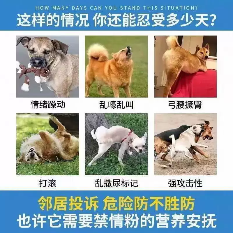 [狗狗避孕片绝育片【狗狗结扎】公母通用终身永禁情抑情片不再生崽]