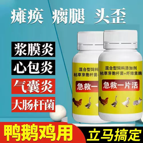 Куриные ноги не могут встать, парализованные, мягкие куриные ноги парализовали лекарство от курицы Daquan Специальный эффект. Специальное лекарство от заболеваемости, все, все, король, король