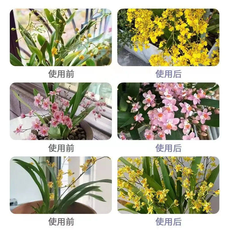 文心兰营养液专治开花慢不开花掉花苞黄叶枯萎免稀释高效液体肥,淘宝优惠券,粉丝福利购,淘宝优惠卷