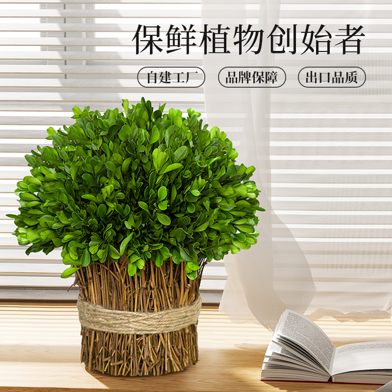 黄杨藤条永生花干花花束客厅办公室仿真花桌面永生绿植装饰小摆件 - 图0