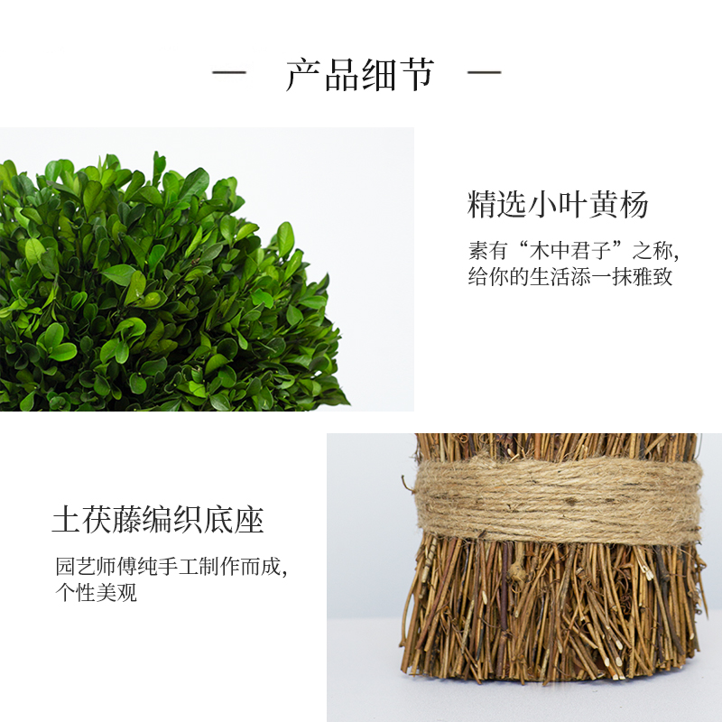 黄杨藤条永生花干花花束客厅办公室仿真花桌面永生绿植装饰小摆件 - 图1