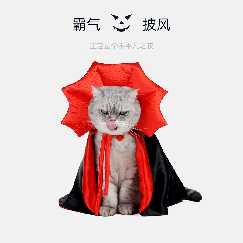 宠物万圣节披风斗篷猫咪服装披肩女巫狗狗衣服冬季变身装装扮用品