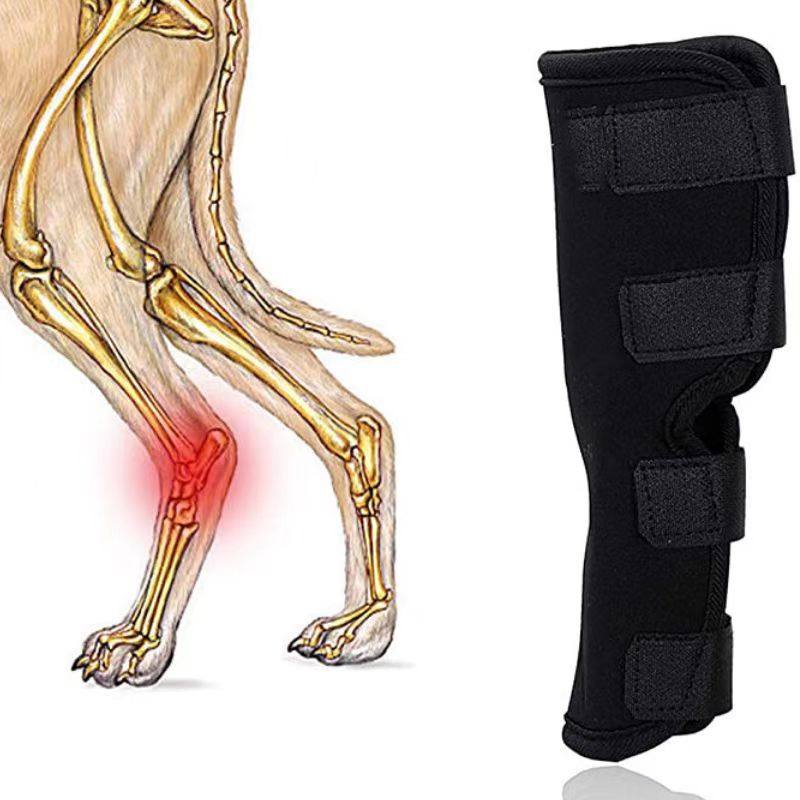 狗护膝保护套宠物护肘腿套户外运动前腿后腿保护套狗狗生活用品,淘宝优惠券,粉丝福利购,淘宝优惠卷