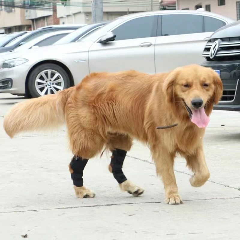 狗护膝保护套宠物护肘腿套户外运动前腿后腿保护套狗狗生活用品,淘宝优惠券,粉丝福利购,淘宝优惠卷