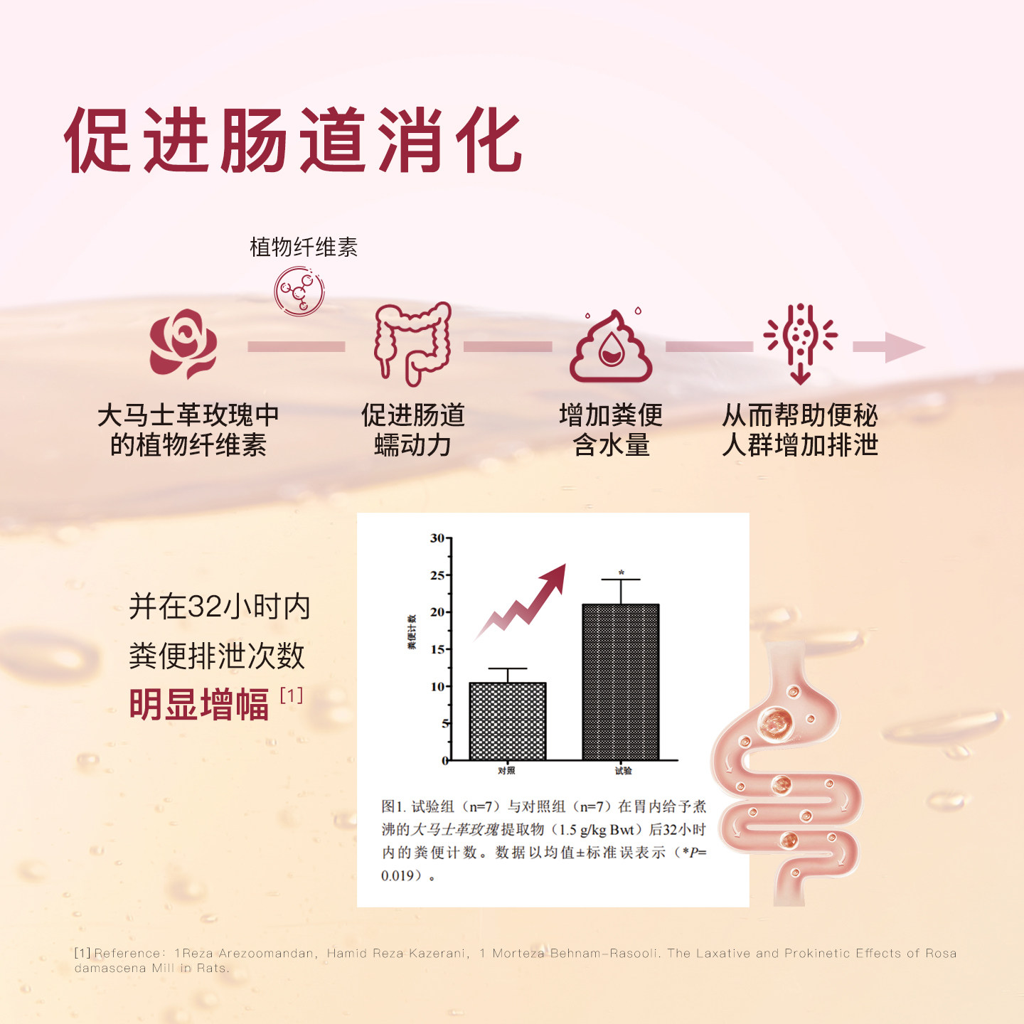 ECOMAAT伊可茉美颜茶大马士革玫瑰花茶养颜养生茶养身花茶粉罐装