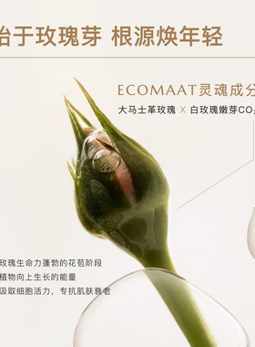 ECOMAAT玫瑰双花嫩芽精萃油