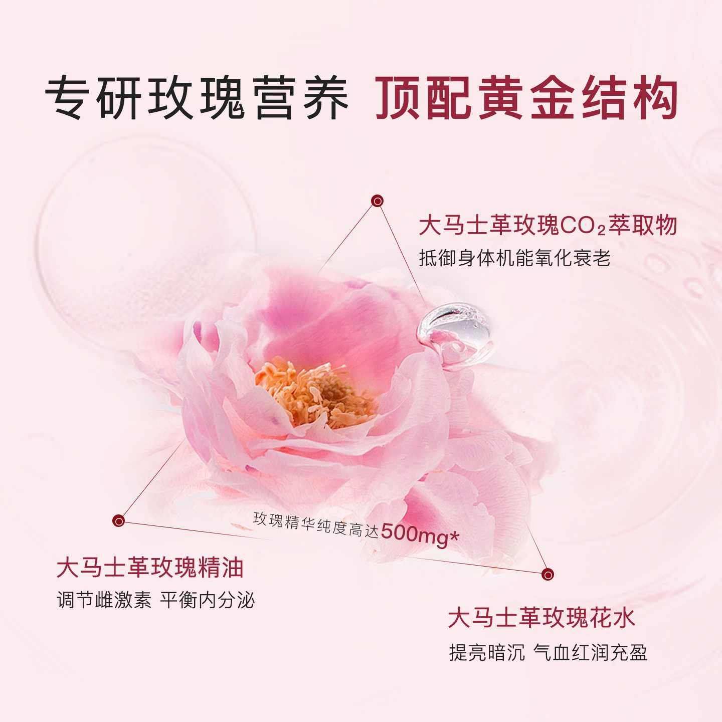 ECOMAAT伊可茉玫瑰露口服美容亮白饮内服全身内调抗氧化抵御老化