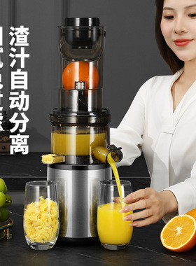德国进口榨汁机家用全自动大口径