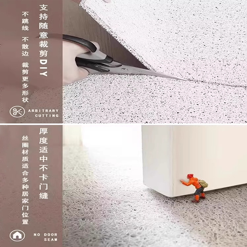 入户门地垫进门口2025新款地毯家用门垫丝圈脚垫子玄关耐脏脚踏垫,淘宝优惠券,粉丝福利购,淘宝优惠卷