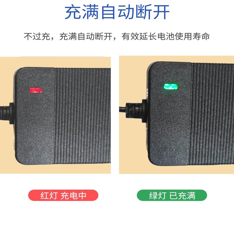 25.2V充电器21.6V锂电池充电器滑板车儿童电车越野电动自行车 - 图1