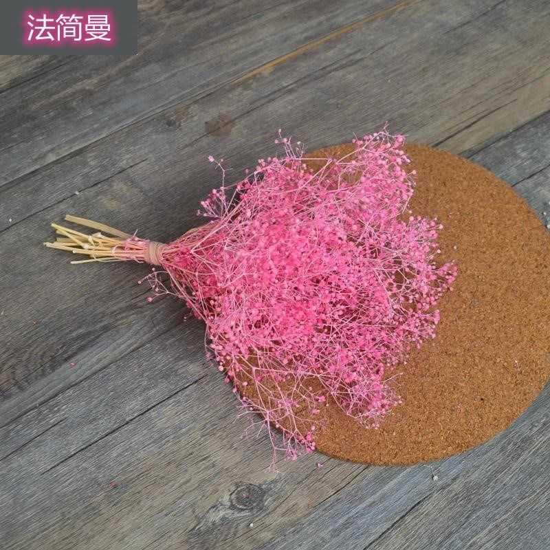 花花草装饰树滴满天星满天建筑模型干花滴胶霞草梦幻花束拍摄工业-图1