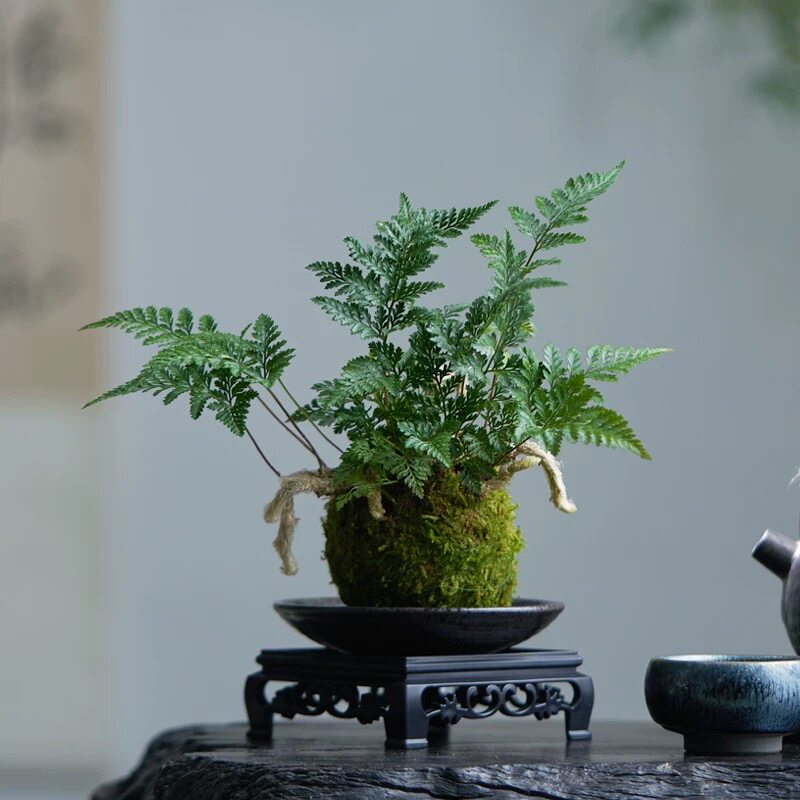 图5