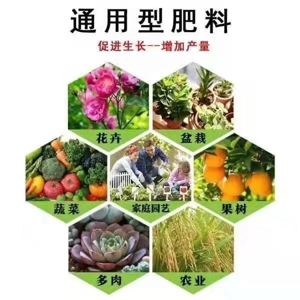 氮磷钾三元复合肥蔬菜农用种菜花卉果蔬有机肥料养花通用型100斤 - 图3
