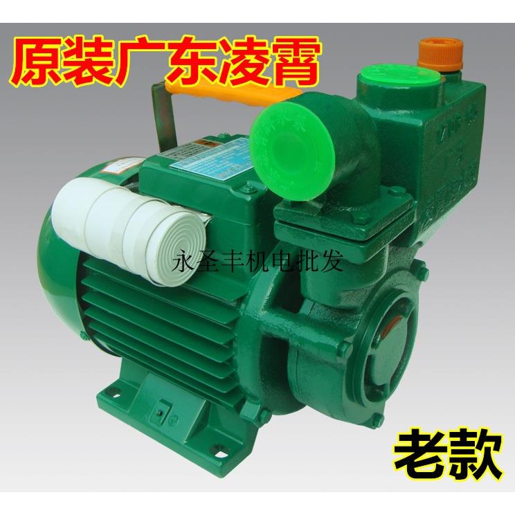 广东凌霄1ZDB35 45 65-B家用自来水抽水机管道增压井水自吸清水泵 - 图1