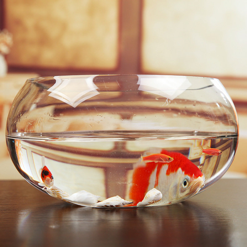 别墅乌龟缸新款玻璃龟缸造景全套小型金鱼缸客厅宠物桌2025换水养,淘宝优惠券,粉丝福利购,淘宝优惠卷