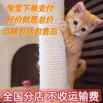 Orange cat cubs Zhonghua Tian Yuan Garden Cat Fox Flowers Cat Living Pure Black Cat White Cat White Dairy Cow Cat Little Three Flowers Catfish Catfish