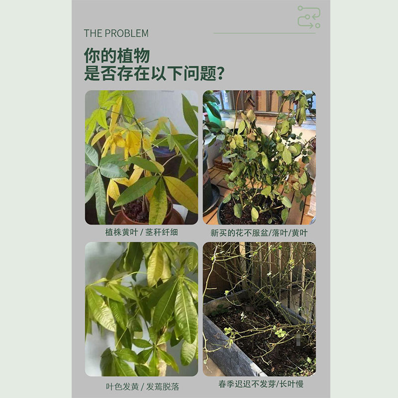 青丛园丁植物复活液养花水培绿植发财树富贵竹绿萝通用型营养液-图1