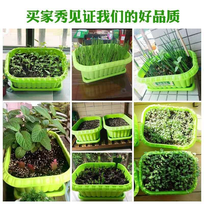 韭菜种植盆花盆家庭菜园阳台种菜深型长方形塑料种植箱蔬菜盆托盘-图0