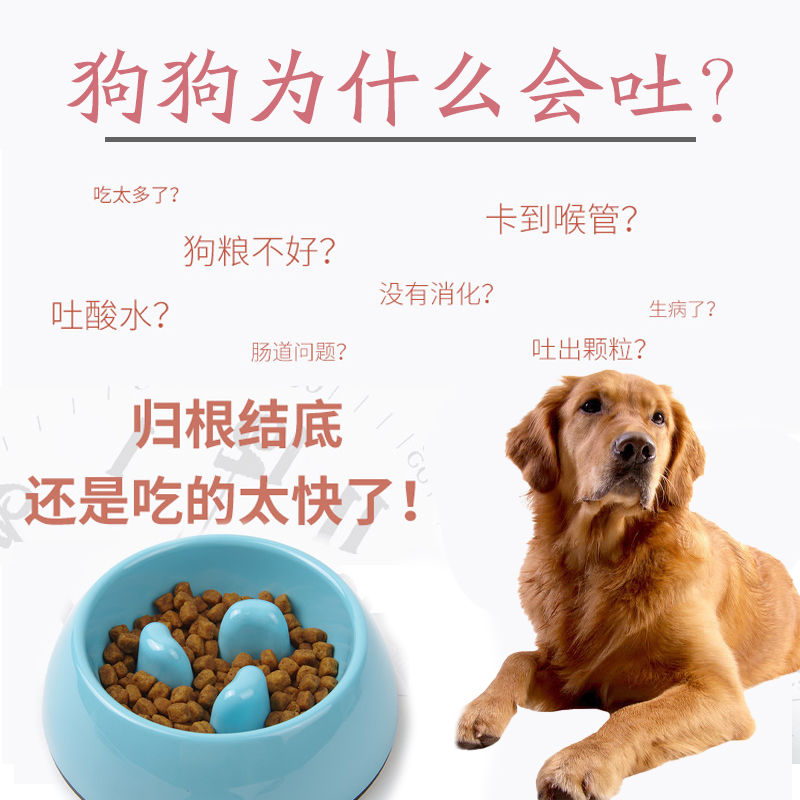 慢食碗狗防噎狗碗狗盆小型犬狗狗碗食盆慢食盆大型犬缓食碗耐咬 - 图0