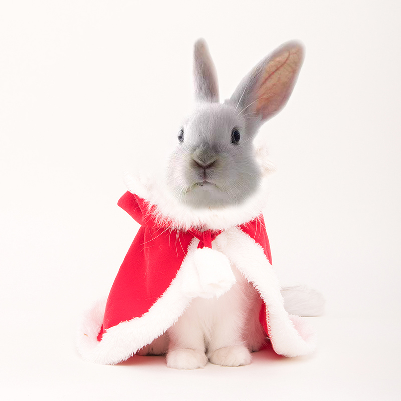 Rabbit Clothes Warm Cloak Christmas Dress Up New Year