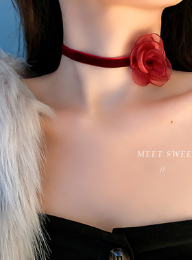 脖子配饰高级感花朵项圈系花choker锁骨链女项链颈带颈链黑色颈花