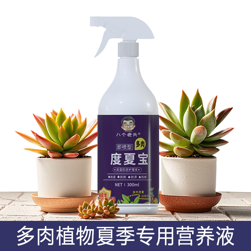 多肉植物夏季专用营养液 度夏宝 防高温黑腐烂根盆栽护理液体肥料